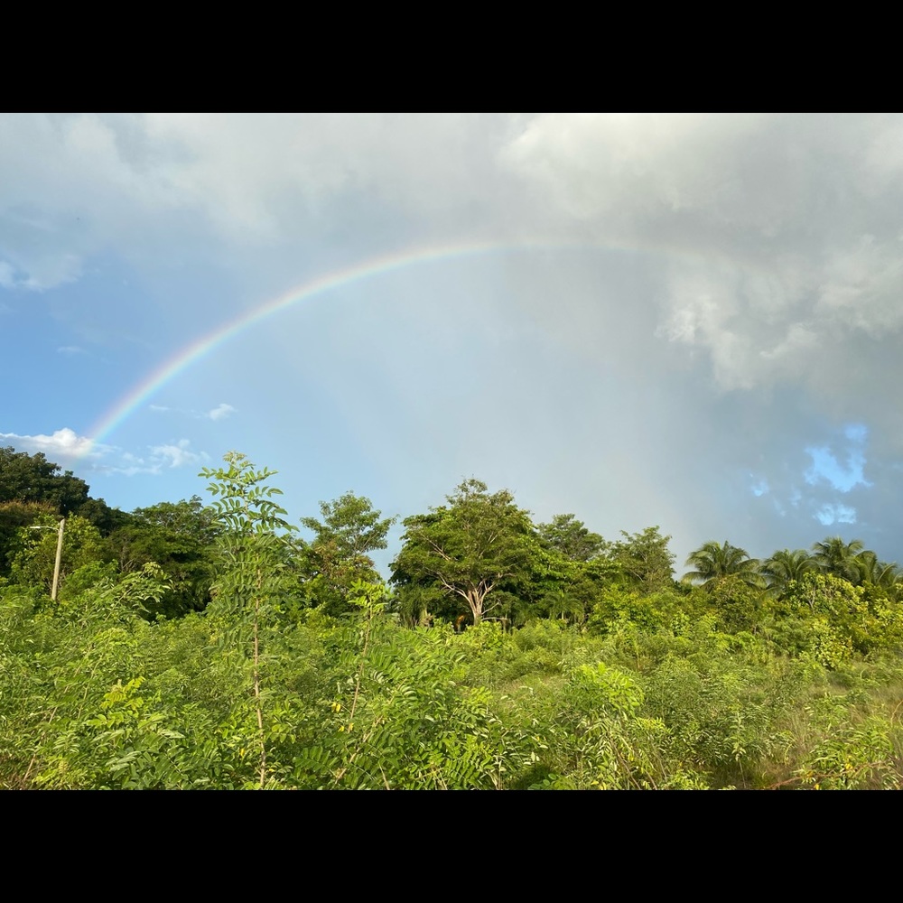 Meet your Posher, Kali